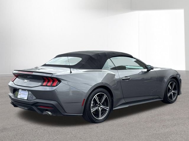 Used 2024 Ford Mustang Premium image 13