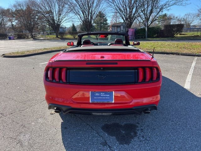 Certified 2019 Ford Mustang Premium w/ Equipment Group 201A image 20