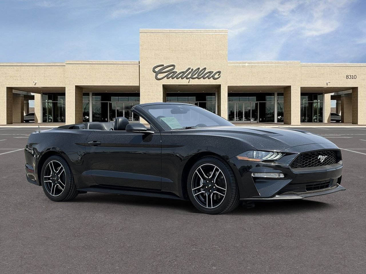 Used 2021 Ford Mustang Premium RWD image 3