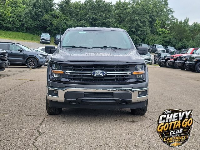 Used 2025 Ford F150 XLT w/ Equipment Group 301A Standard AWD/4WD image 8