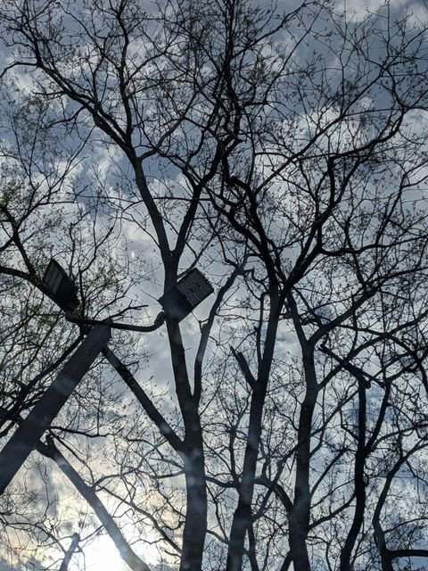 Used 2023 GMC Acadia AT4 w/ Technology Package image 20