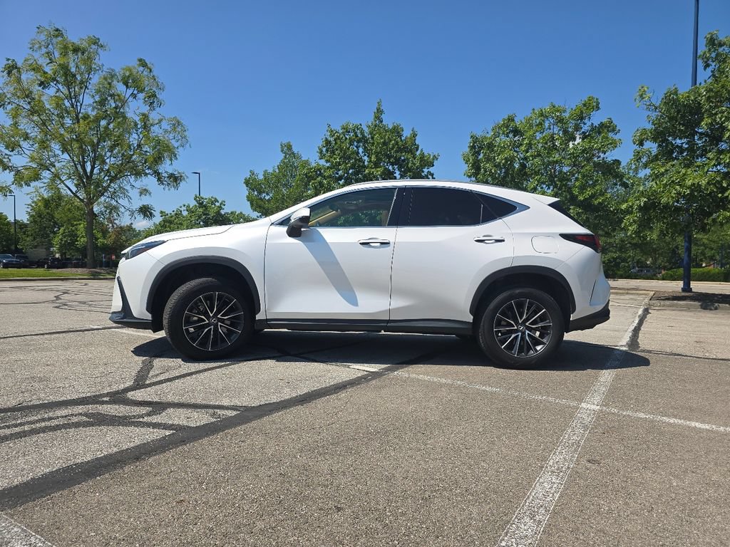 Used 2025 Lexus NX 250 AWD w/ Accessory Package (2T) image 14