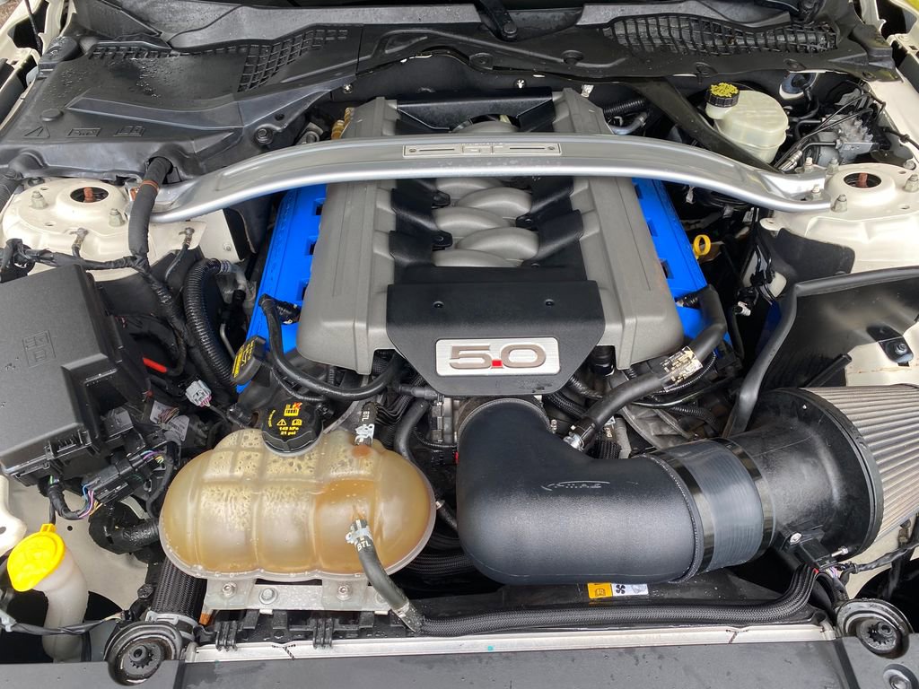 Used 2015 Ford Mustang 50 Years image 10