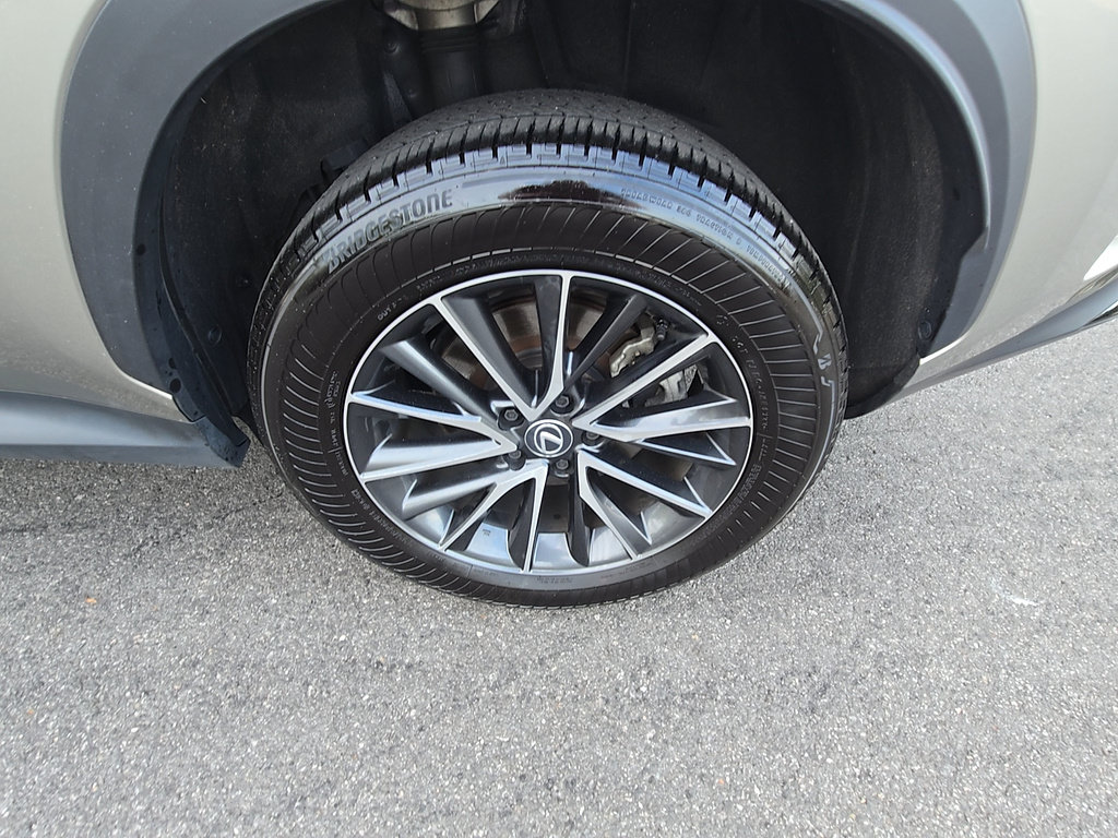 Used 2024 Lexus NX 250 AWD w/ Cold Area Package image 10