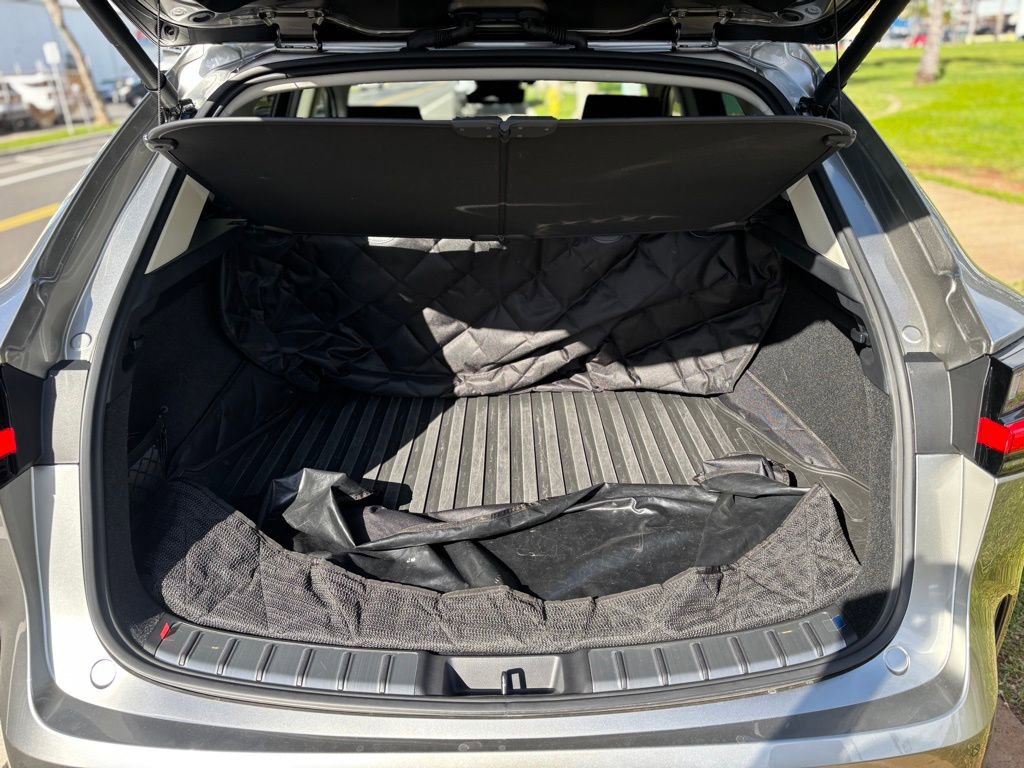 Used 2025 Lexus NX 350h AWD w/ Premium Package image 13