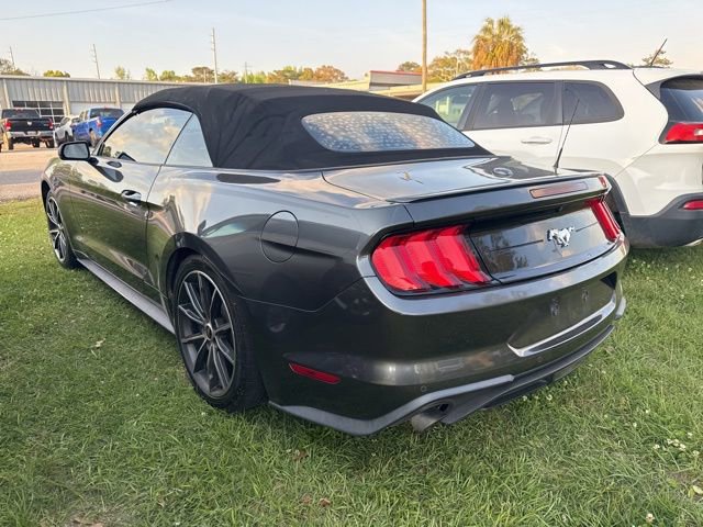 Used 2019 Ford Mustang Premium w/ Equipment Group 201A RWD image 8