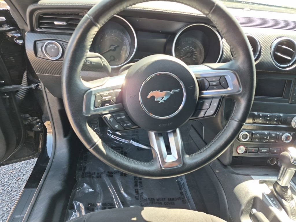 Used 2022 Ford Mustang EcoBoost image 12