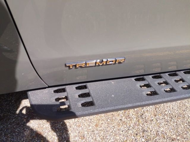 Used 2025 Ford Expedition Tremor AWD/4WD image 5