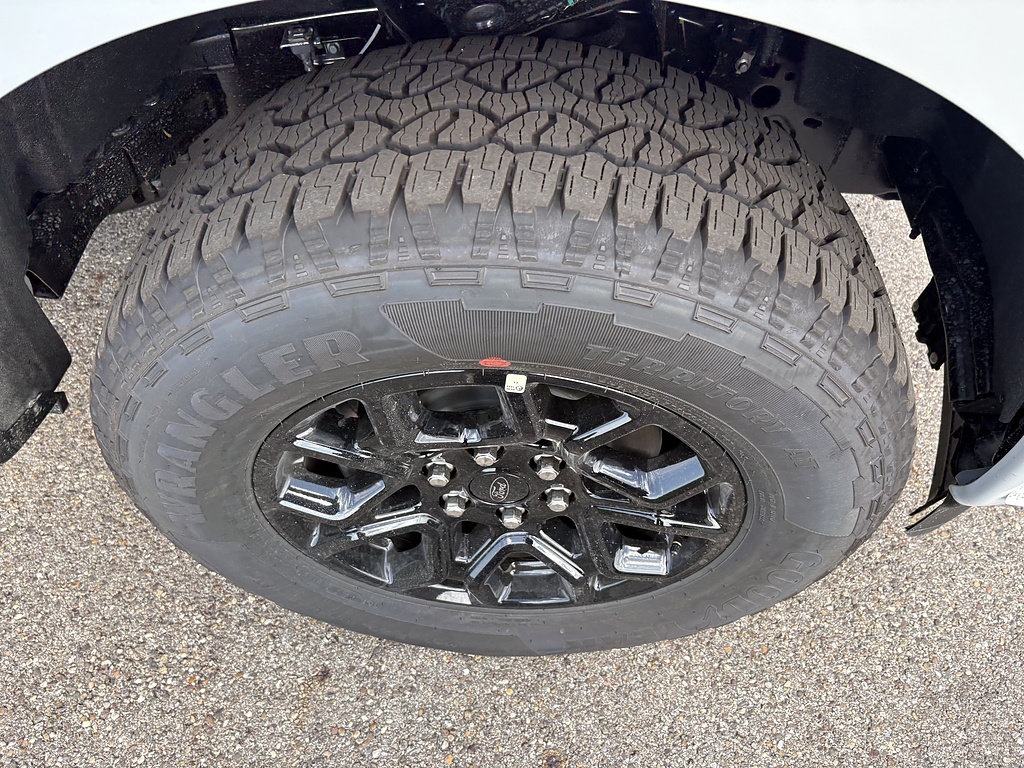 New 2026 Ford F150 STX AWD/4WD image 12