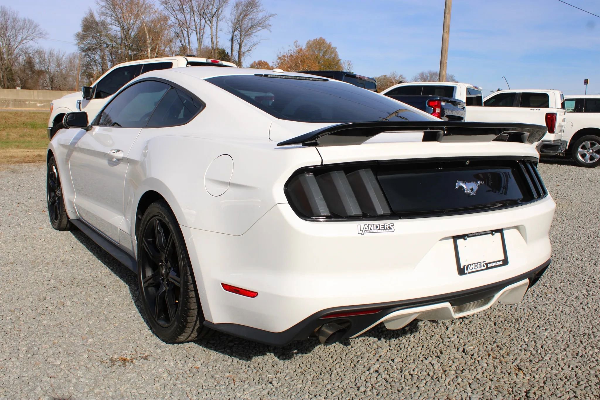 Used 2017 Ford Mustang Premium image 12