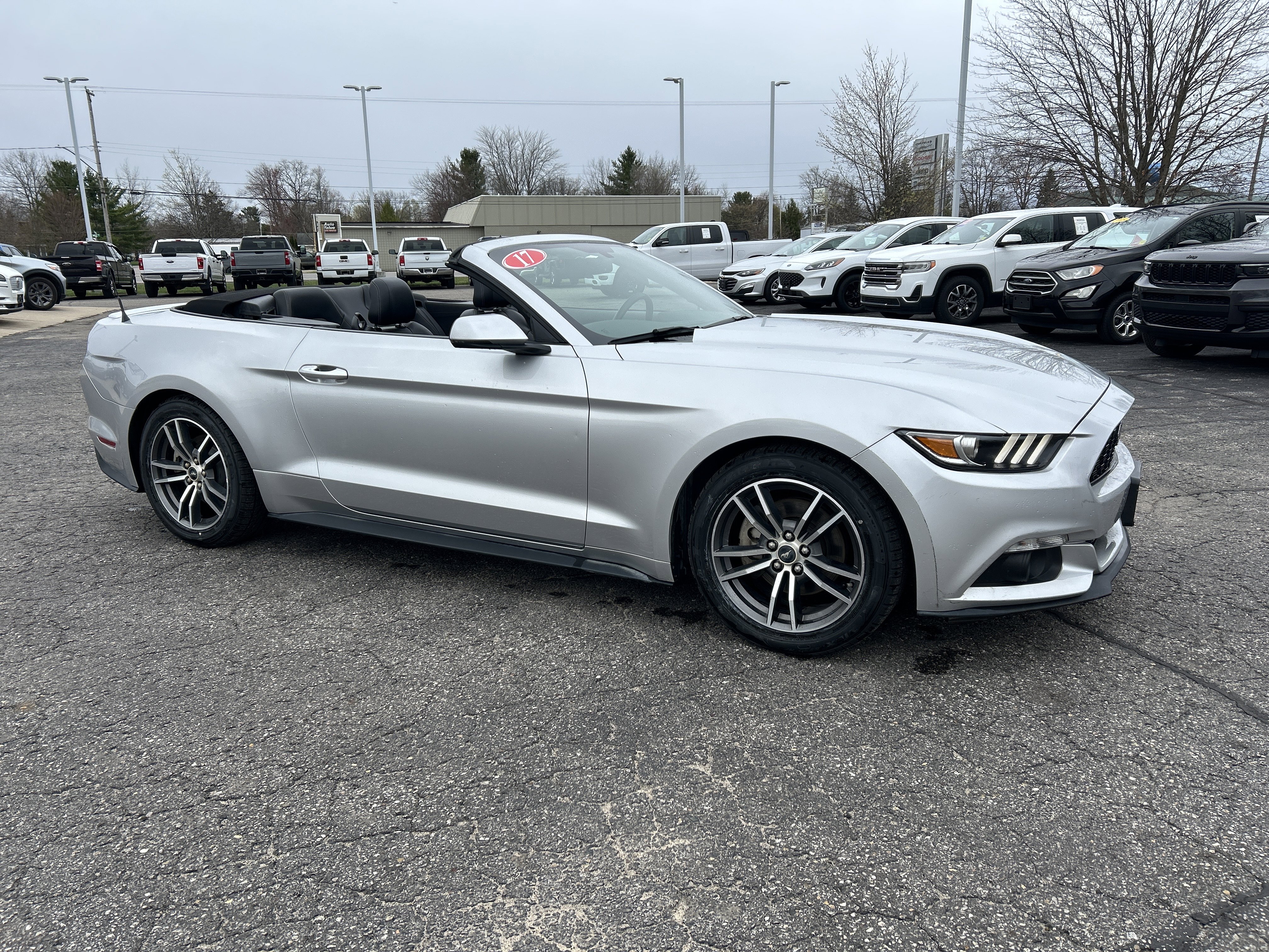 Used 2017 Ford Mustang Premium RWD image 2
