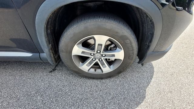 Used 2025 Honda Pilot EX-L image 5