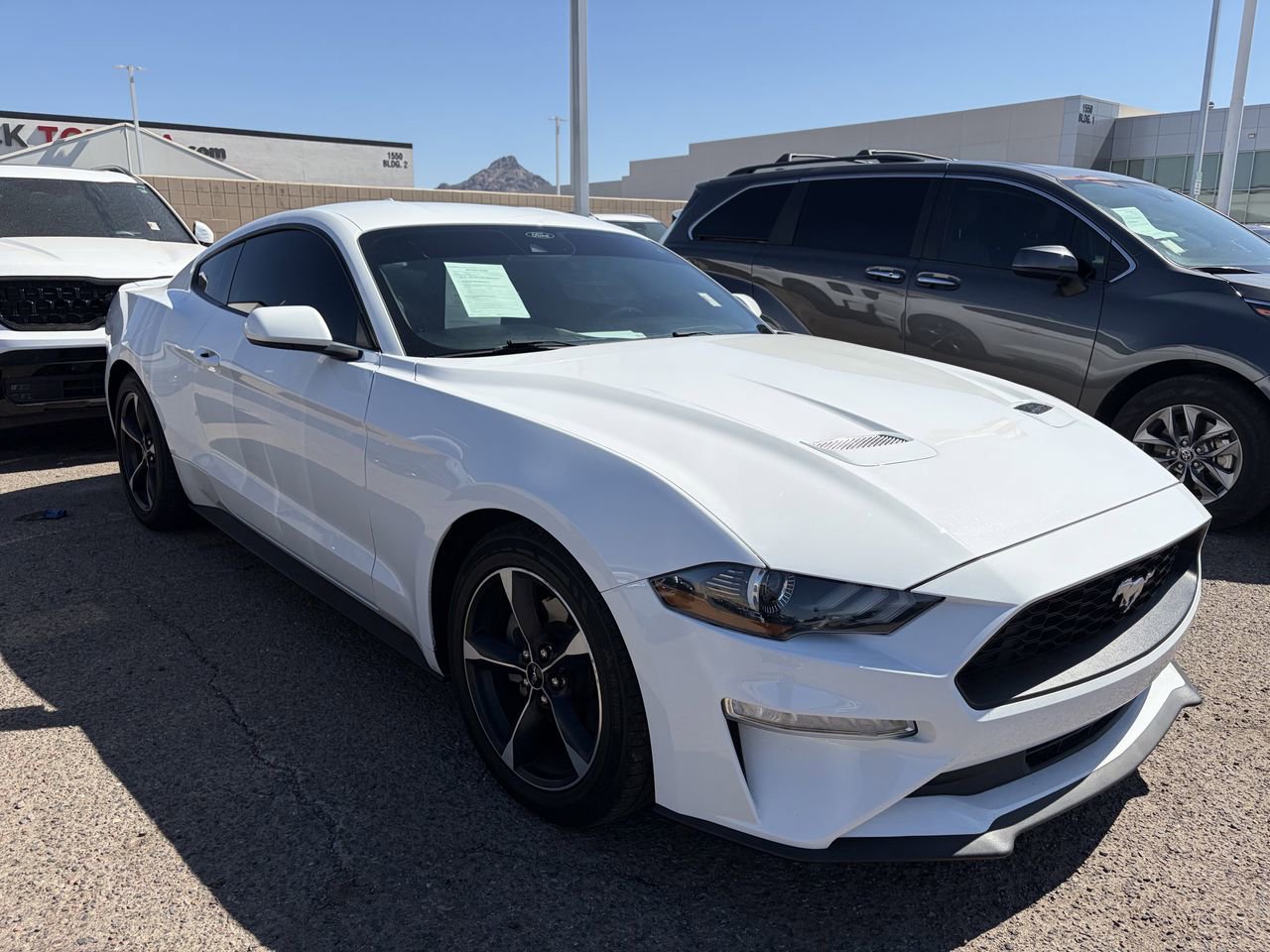 Used 2022 Ford Mustang Coupe w/ Equipment Group 101A RWD image 2