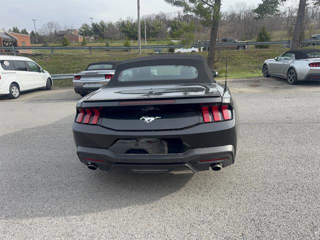 Used 2024 Ford Mustang Premium image 7
