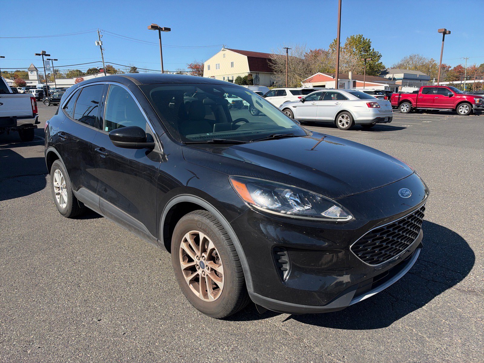Used 2020 Ford Escape SE AWD/4WD image 3