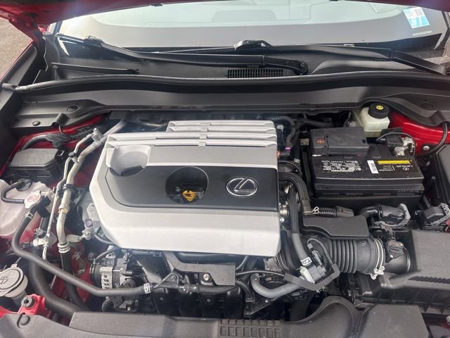 Used 2020 Lexus UX 200 w/ Premium Package image 37