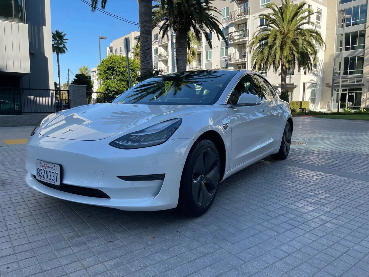 Used 2019 Tesla Model 3 Standard Range Plus image 3