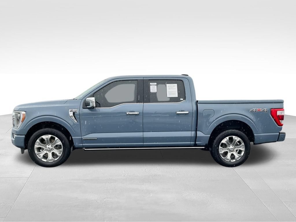 Used 2023 Ford F150 Platinum w/ Equipment Group 701A High AWD/4WD image 5