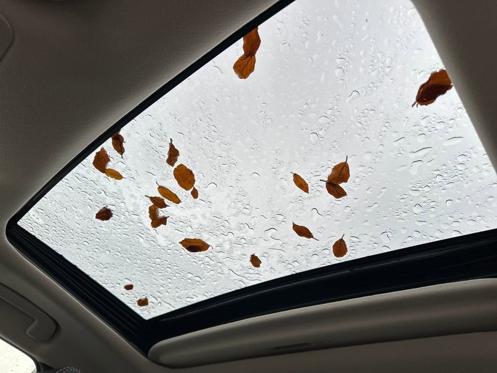 New 2026 Toyota Corolla XLE image 24