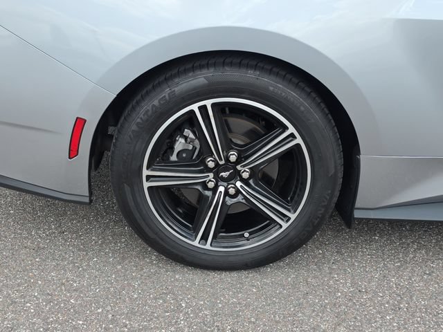 Used 2024 Ford Mustang Premium RWD image 5