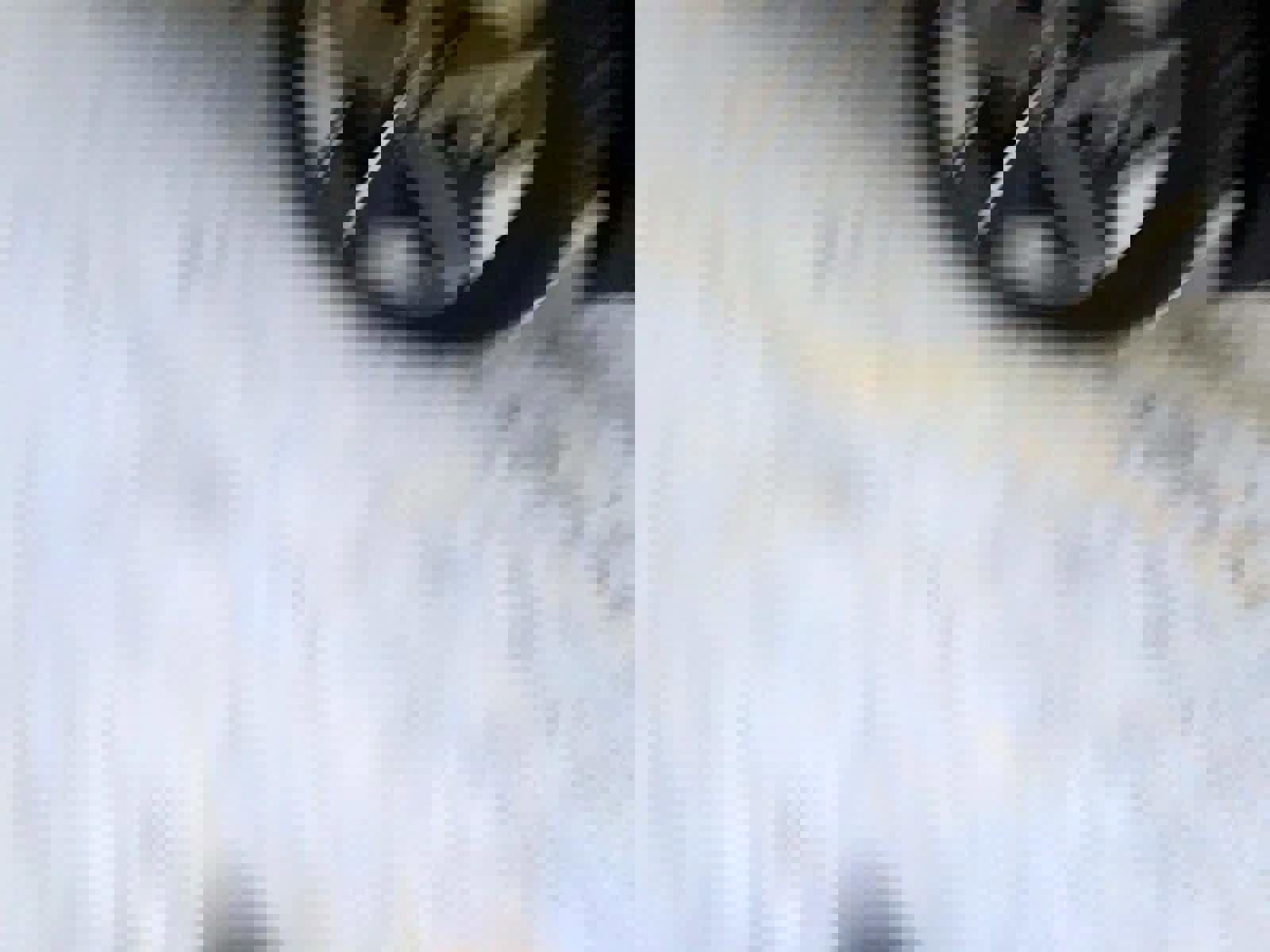 New 2026 Hyundai Tucson SEL image 18