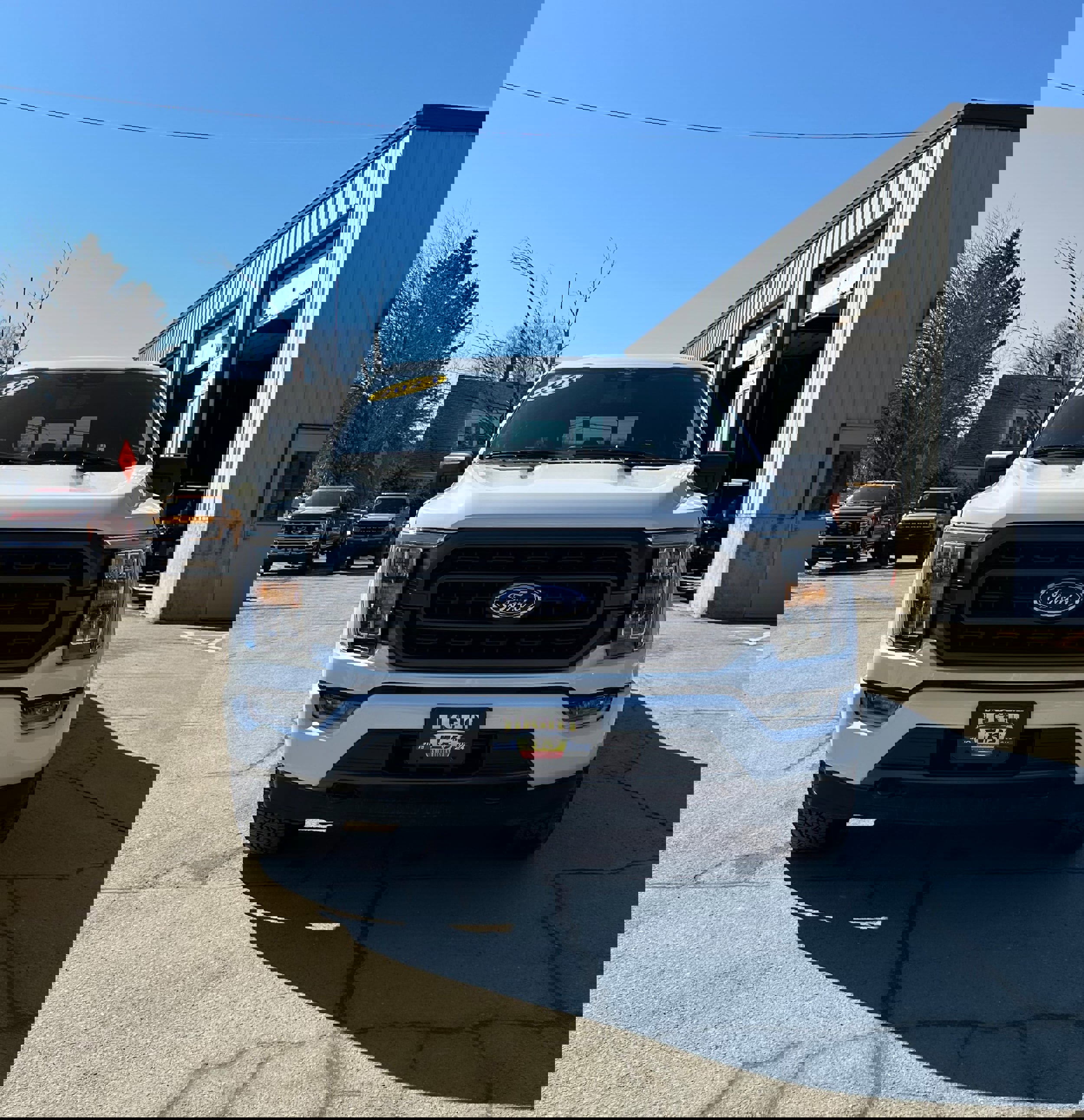 Used 2023 Ford F150 XLT w/ Equipment Group 302A High image 8