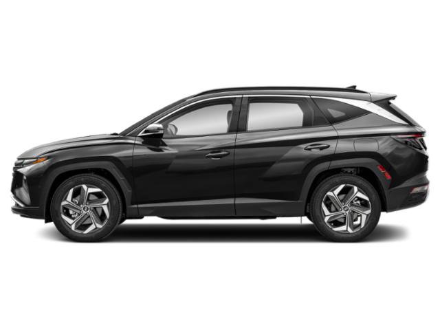 Used 2024 Hyundai Tucson Limited FWD image 3
