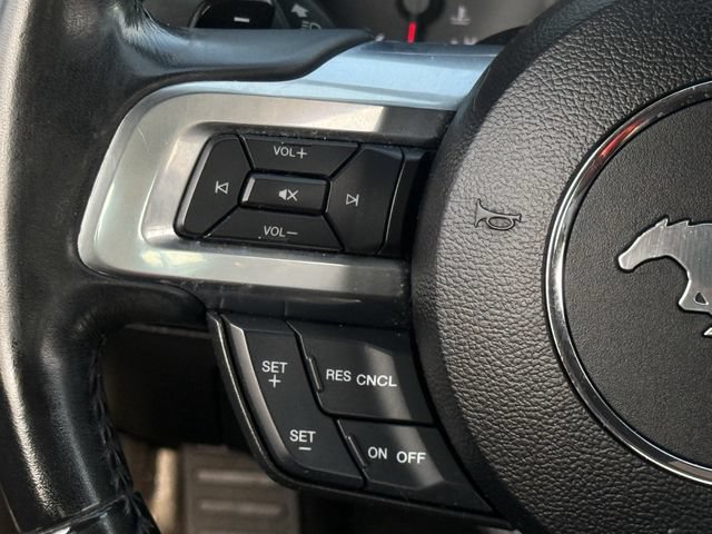 Used 2019 Ford Mustang Premium RWD image 11