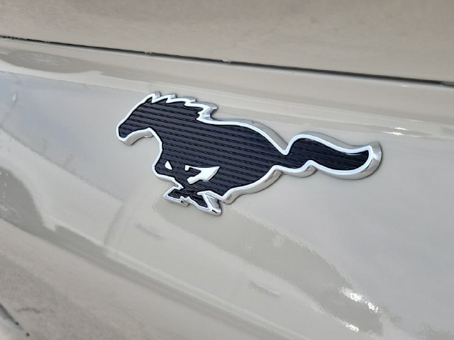 Used 2026 Ford Mustang Mach-E Premium RWD image 7