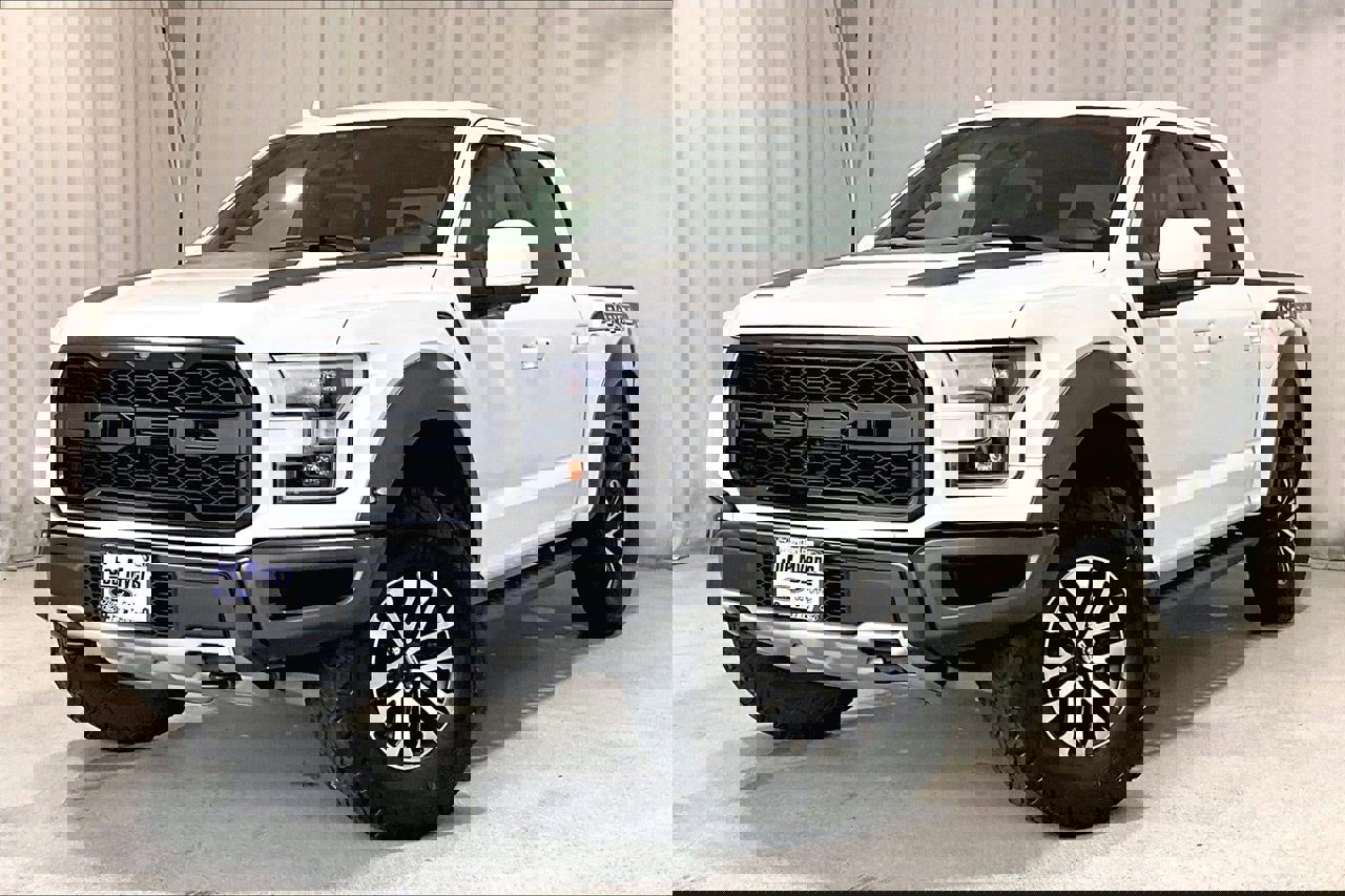 Used 2019 Ford F150 Raptor w/ Equipment Group 802A Luxury image 12