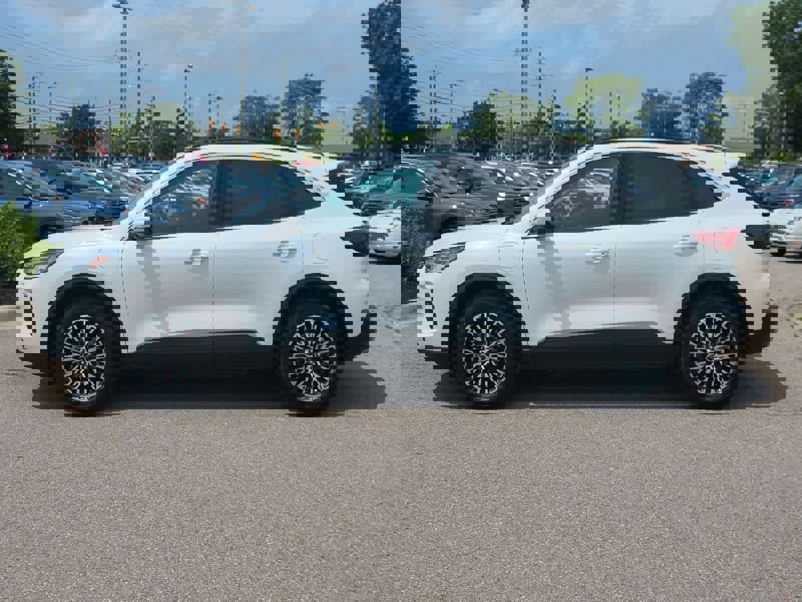 Used 2024 Ford Escape SE image 5