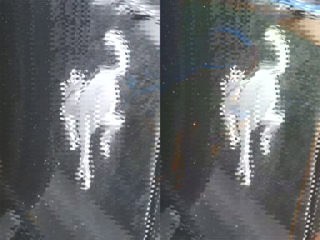 Used 2025 Ford Bronco Big Bend image 9