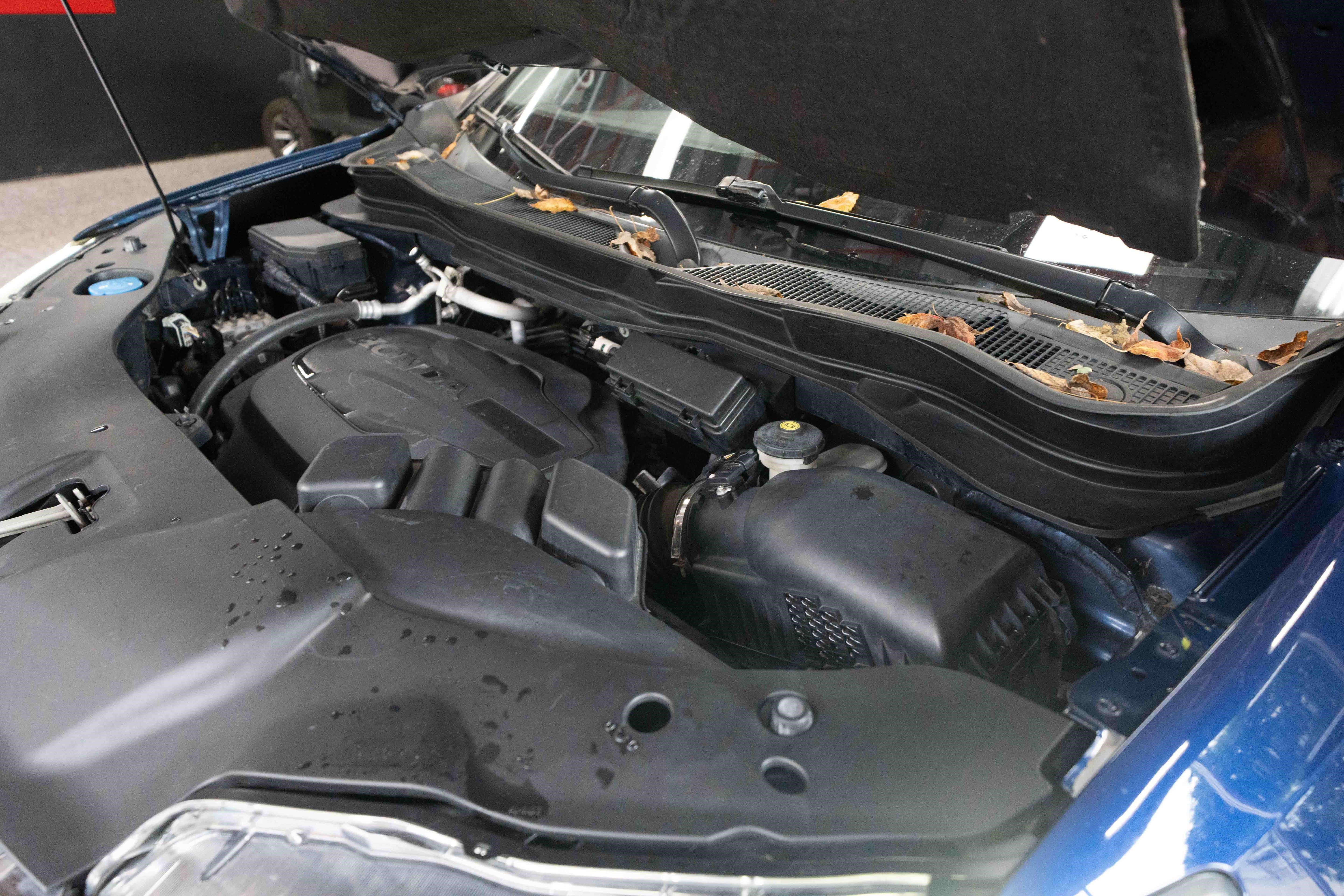 Used 2016 Honda Pilot EX-L image 34
