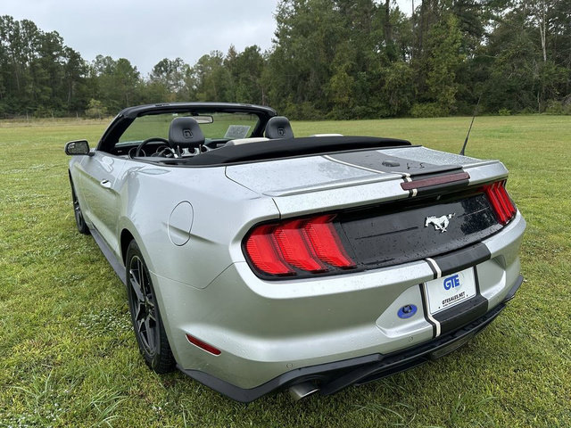 Used 2019 Ford Mustang Premium RWD image 16