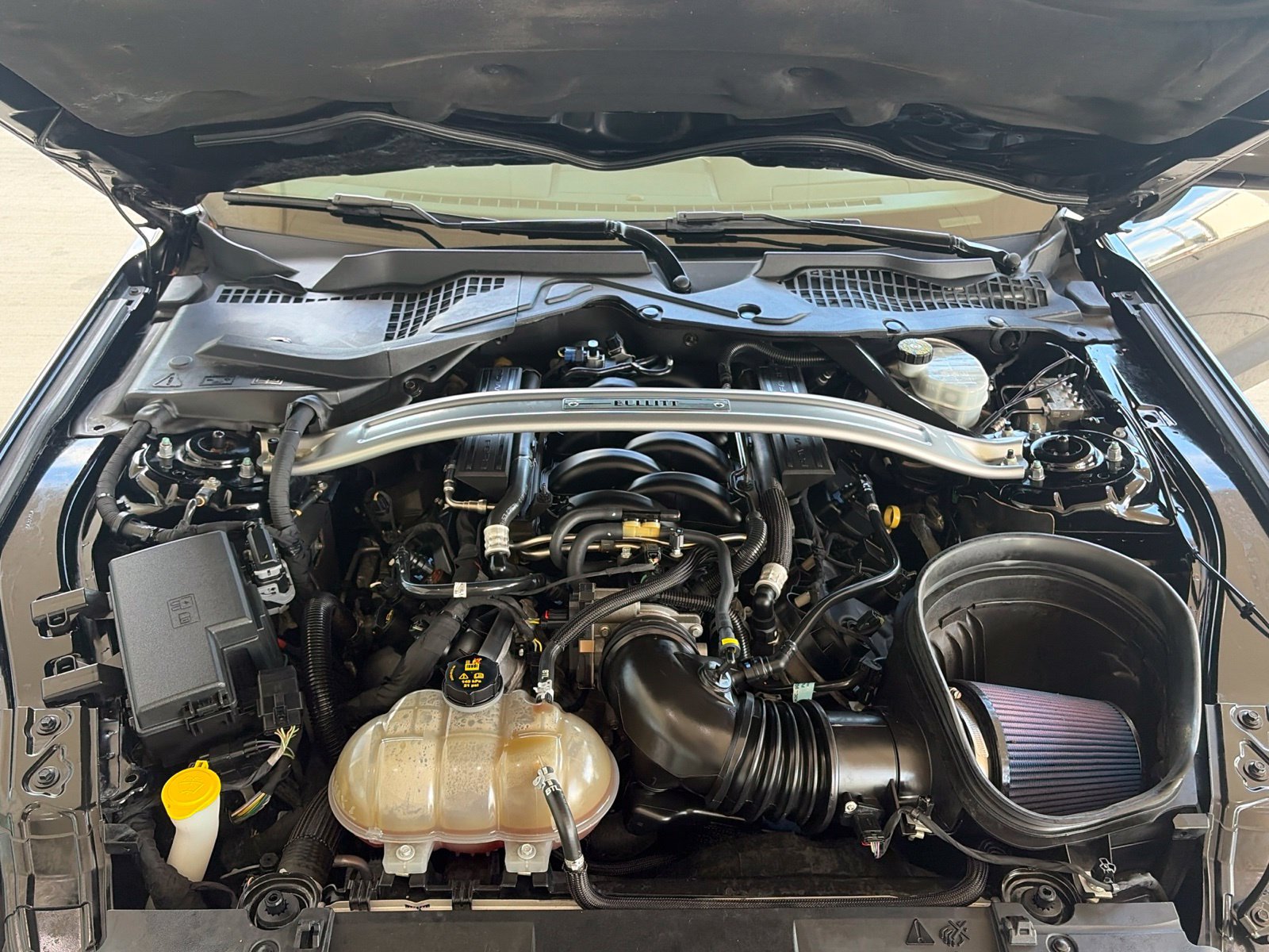 Used 2019 Ford Mustang Bullitt w/ Bullitt Electronics Package RWD image 12