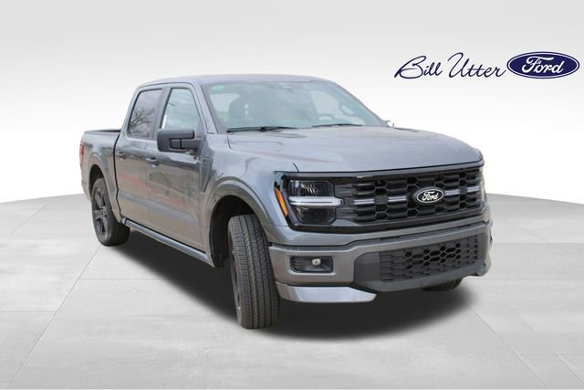 New 2025 Ford F150 STX w/ LOBO Package image 2