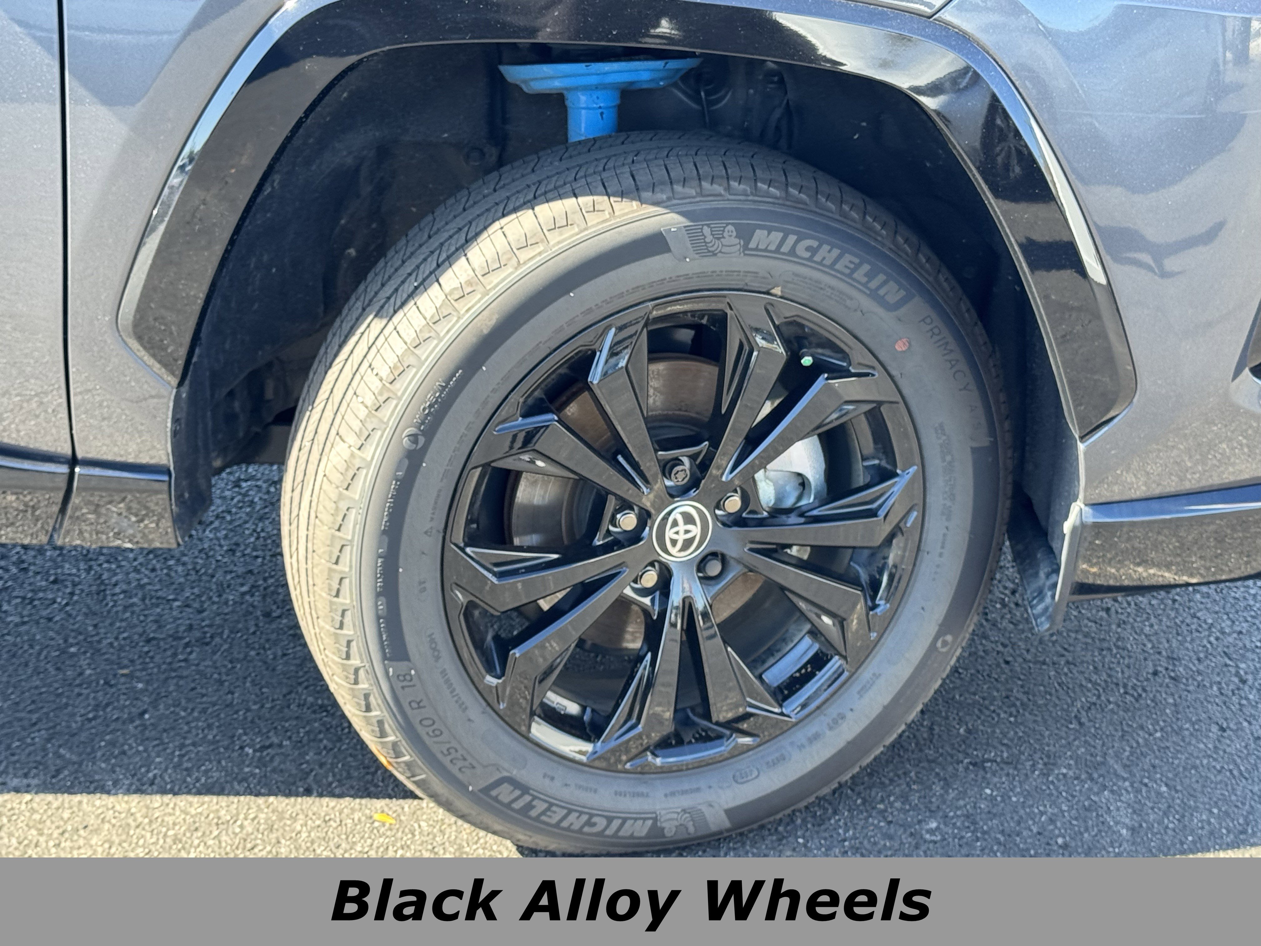 Used 2025 Toyota RAV4 SE image 14