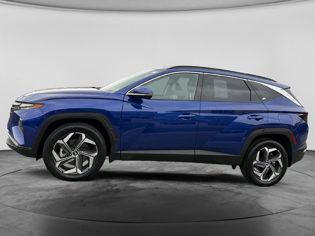 Used 2024 Hyundai Tucson Limited AWD/4WD image 6