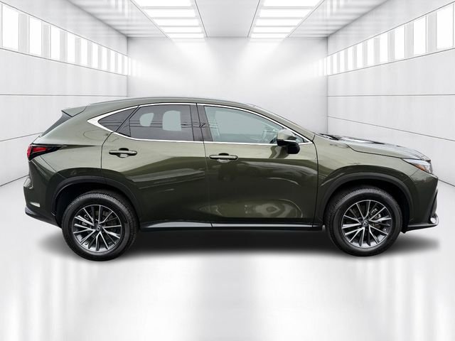 Certified 2022 Lexus NX 250 AWD image 4