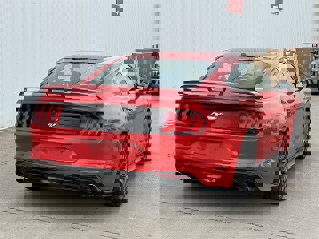 Used 2018 Ford Mustang Premium w/ Ecoboost Performance Package image 4