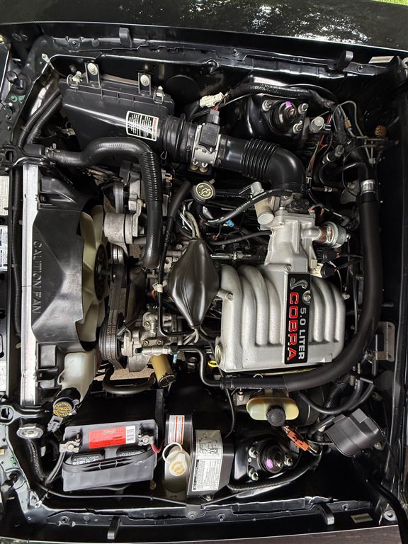 Used 1993 Ford Mustang Cobra RWD image 74