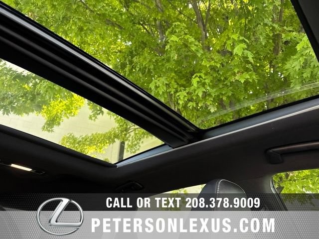 Used 2022 Lexus RX 350 F Sport w/ Cold Area Package (CT) AWD/4WD image 14