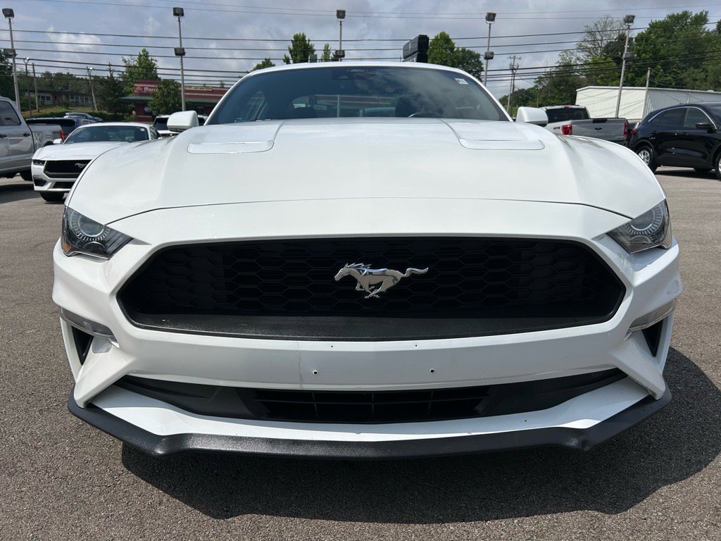 Used 2023 Ford Mustang Premium image 2