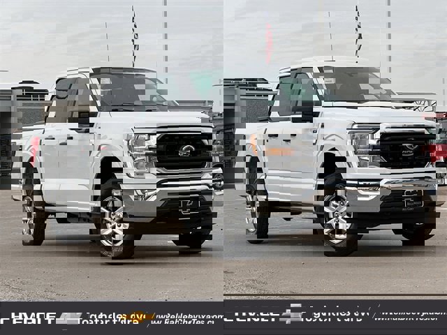 Used 2021 Ford F150 XLT w/ Equipment Group 301A Mid image 2