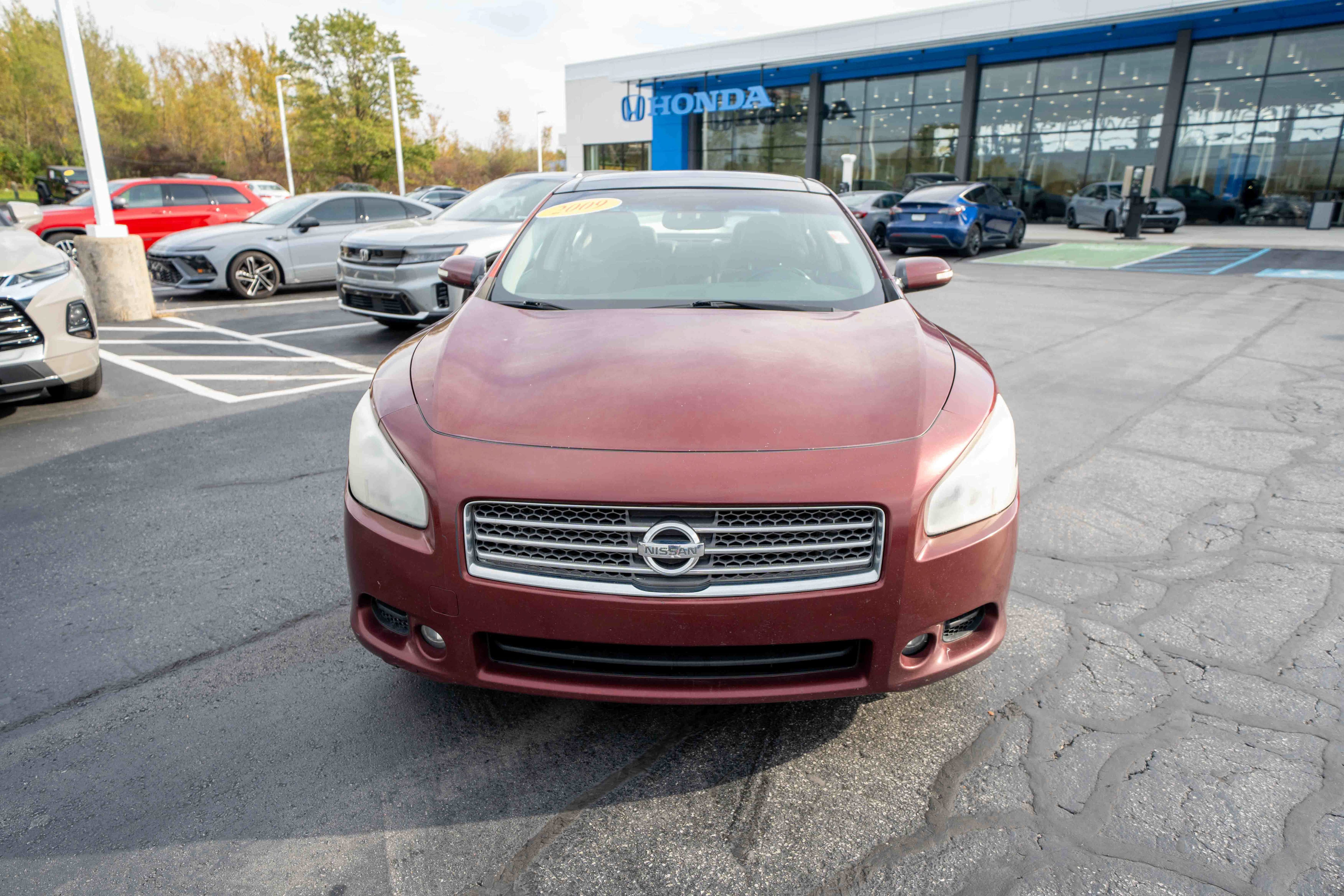 Used 2009 Nissan Maxima 3.5 SV w/ Premium Pkg FWD image 2