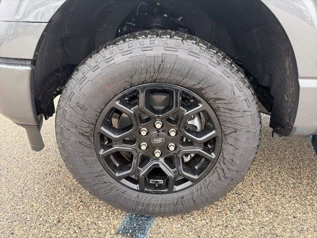 New 2026 Ford F150 XLT w/ Equipment Group 302A MID image 19