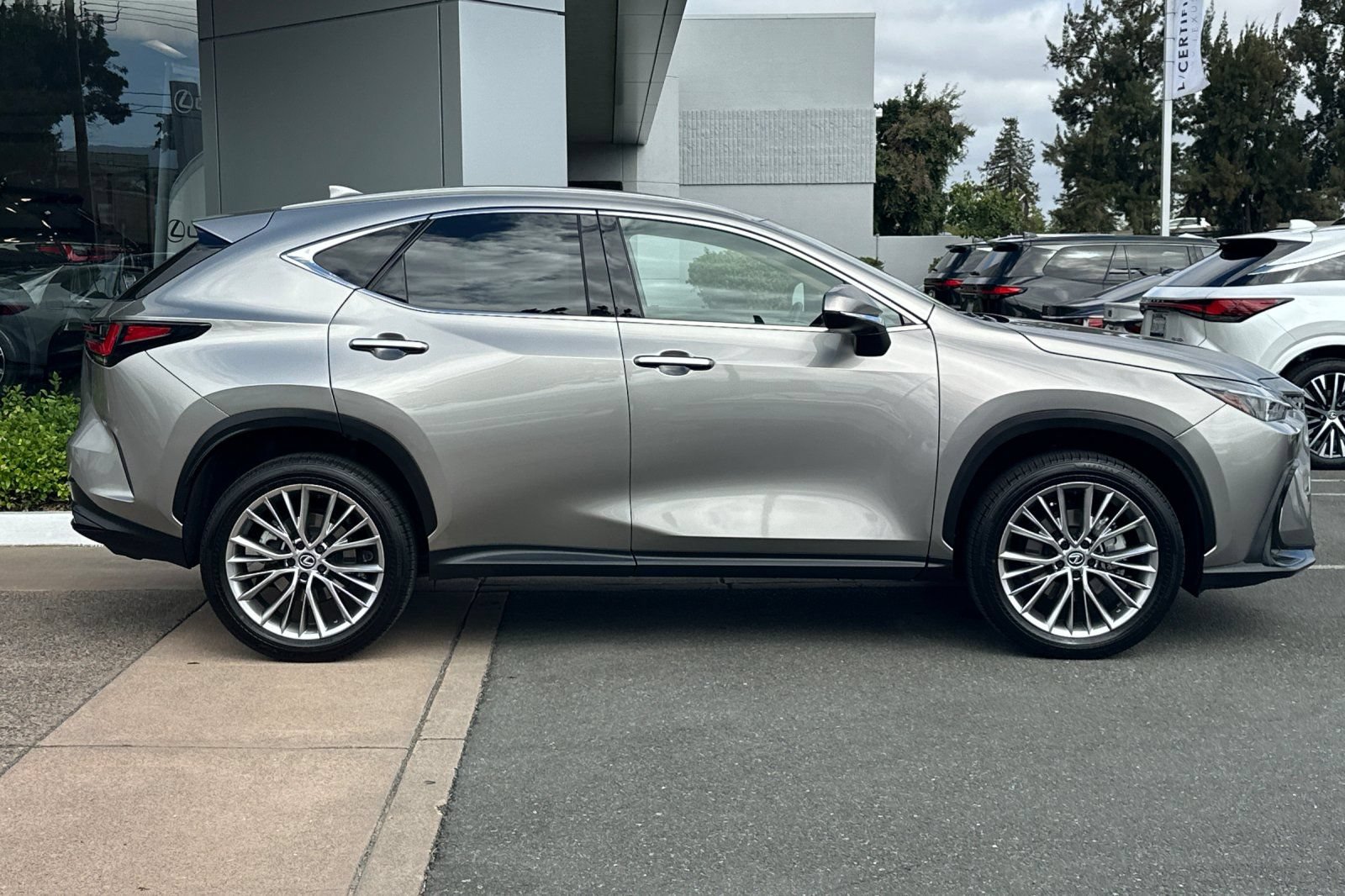 Certified 2025 Lexus NX 350h AWD w/ Cold Area Package image 3
