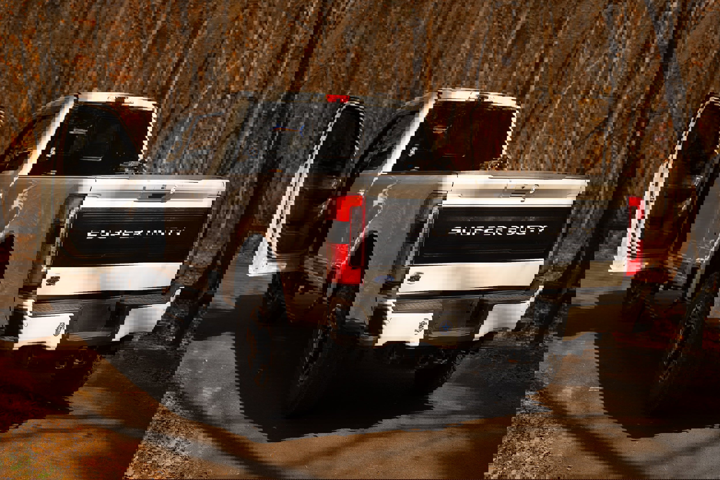 Certified 2025 Ford F250 Platinum w/ Tremor Off-Road Package image 9