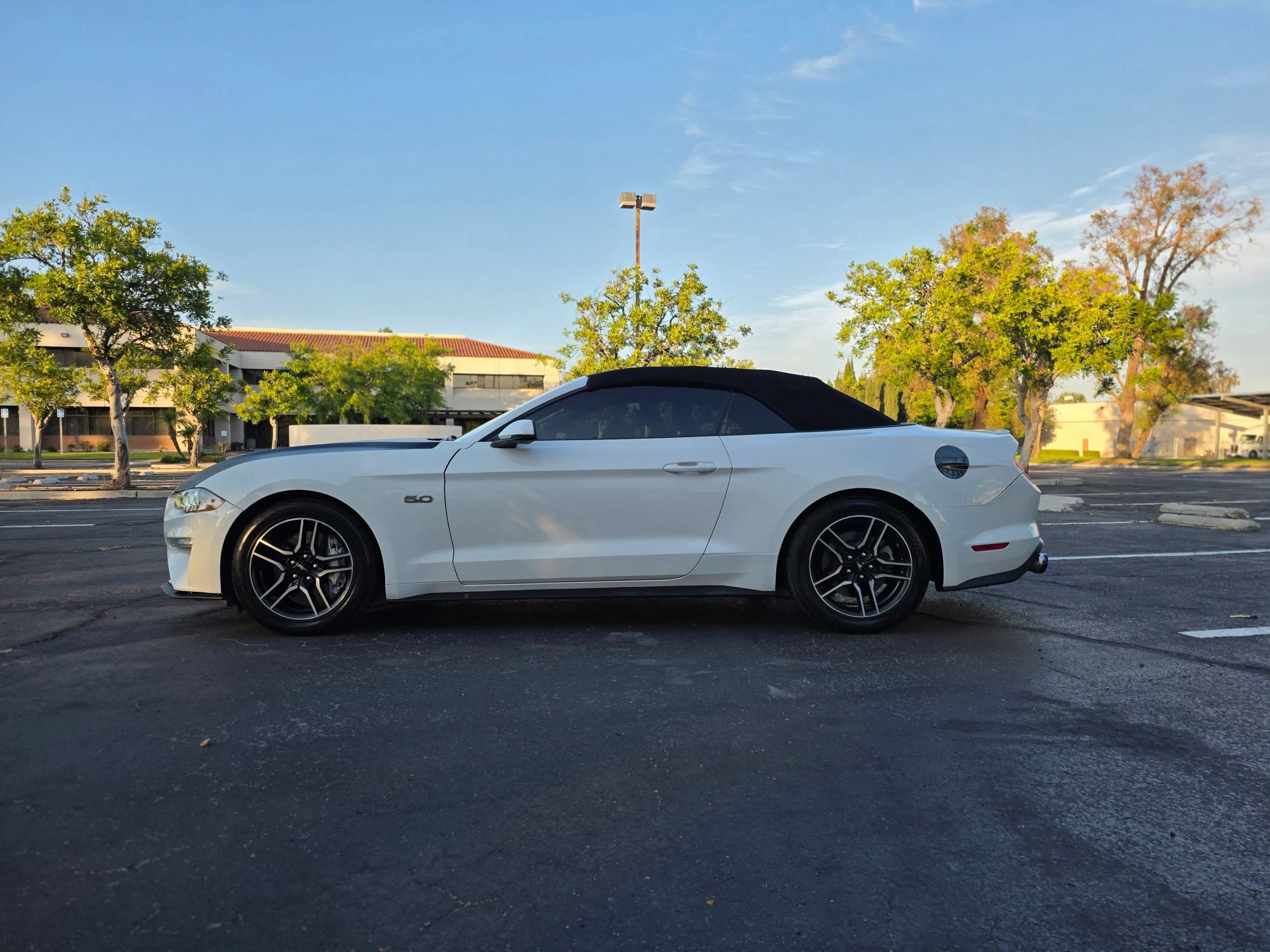 Used 2019 Ford Mustang GT Premium RWD image 6