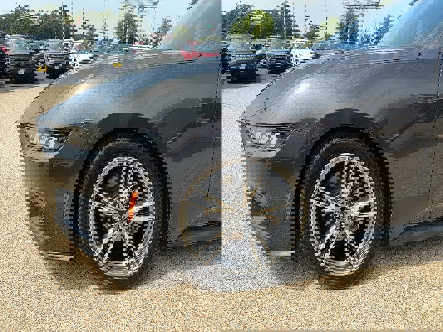 Used 2024 Ford Mustang Premium w/ Wheel & Stripe Package image 5